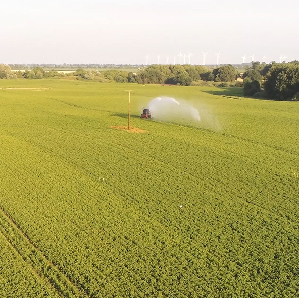 Feld mit Kartoffeln und Bewässerungsanlage