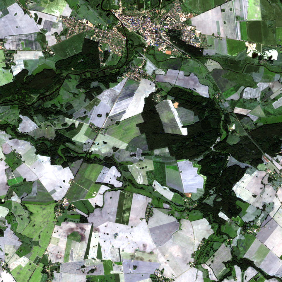 Satellitenbild einer Landschaft mit Feldern